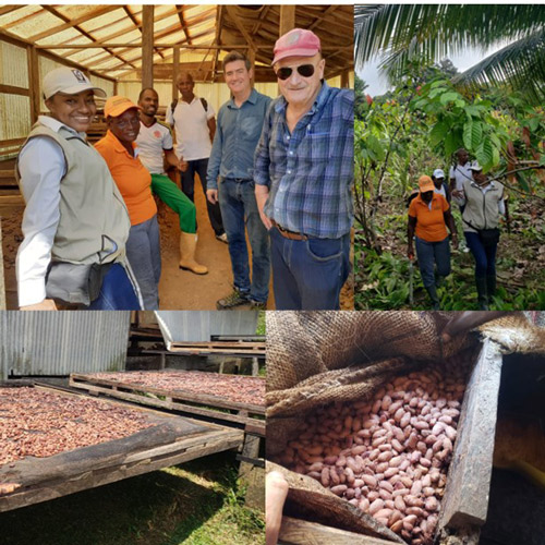 Productores de Cacao en Colombia - Aroco