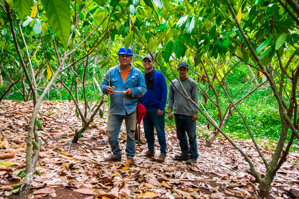 Our colombian cacao community - Aroco
