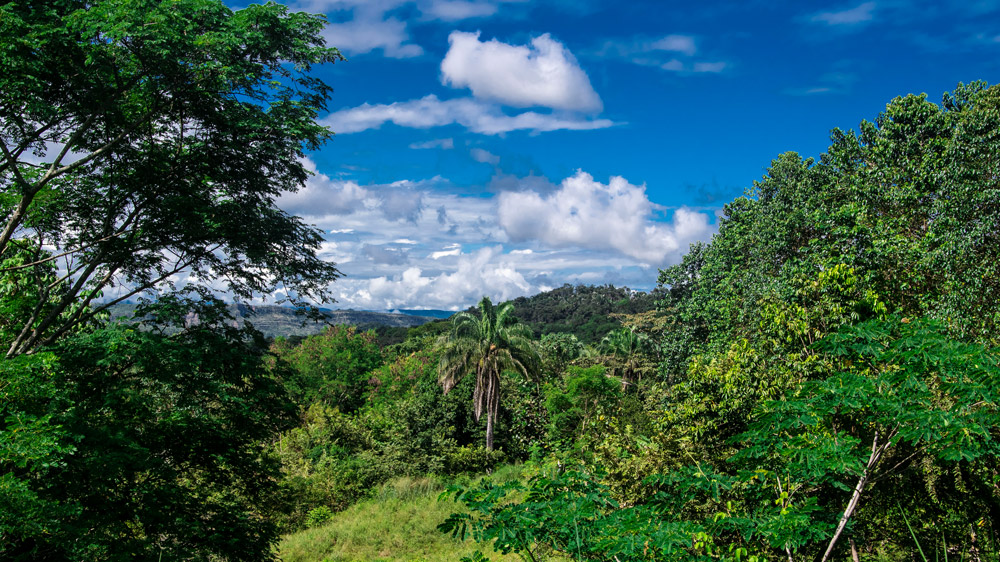 Landowners Regenerative Agriculture for cacao - Aroco