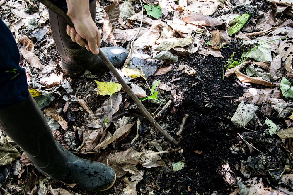 SOIL
