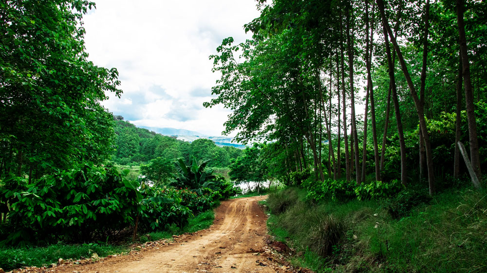 Productores de Cacao en Colombia - Aroco